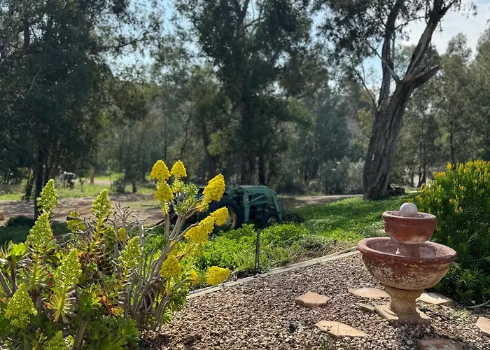 San Diego Trail Guest Ranch